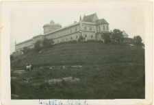 Wzg&oacute;rze Zamkowe w Lublinie