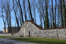Jewish cemetery in Bełżyce