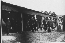 Krajowa Wystawa Koni w Lublinie