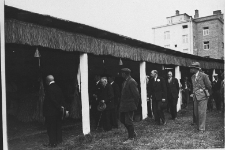 Krajowa Wystawa Koni w Lublinie