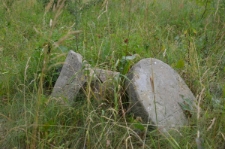 Cmentarz żydowski w Baranowie