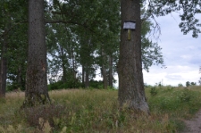 Cmentarz żydowski w Baranowie - widok og&oacute;lny