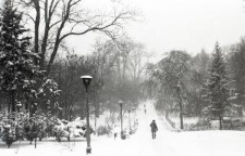 Ogr&oacute;d Saski w Lublinie