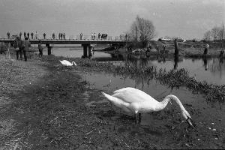 Dolina Bystrzycy w Lublinie