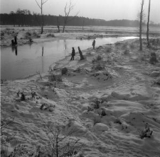 Dolina Bystrzycy w Lublinie