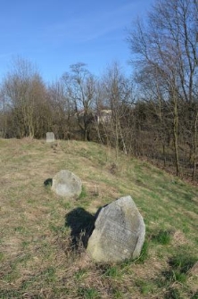 Jewish cemetery in Biskupice