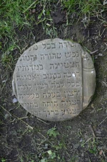 Old Jewish cemetery in Bychawa – matzevah (tombstone) of Chana Dwora