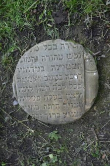 Old Jewish cemetery in Bychawa &ndash; matzevah (tombstone) of Chana Dwora