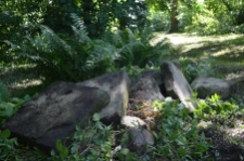 Stary cmentarz żydowski w Bychawie