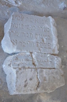 Macewa Pesy Chaji Rider, c&oacute;rki Zeewa