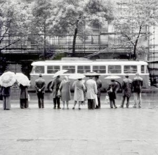 Przystanek autobusowy na Krakowskim Przedmieściu w Lublinie