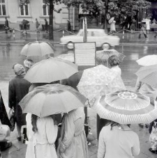 Przystanek autobusowy na Krakowskim Przedmieściu w Lublinie