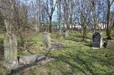 The Jewish cemetery in Chełm - view from the southwest side
