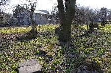 Cmentarz żydowski w Chełmie &ndash; widok na południową część nekropolii