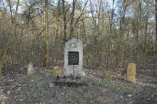 Pomnik i wtórnie ustawione macewy na cmentarzu żydowskim w Czemiernikach