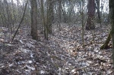 Wał ziemny otaczający teren cmentarza żydowskiego w Czemiernikach