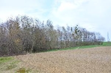 Teren nowego cmentarza żydowskiego w Grabowcu