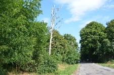 Teren starego cmentarza żydowskiego w Horodle