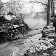 Ćwiczenia Ludowego Wojska Polskiego