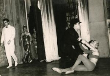 Spektakl Teatru Muzycznego w Lublinie