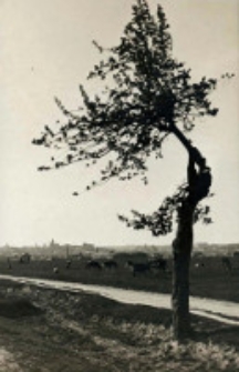 Og&oacute;lny widok miasta z placu Lwowskiego w Lublinie