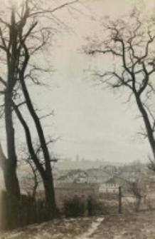 Og&oacute;lny widok miasta z ogrodu kościoła św. Agnieszki w Lublinie