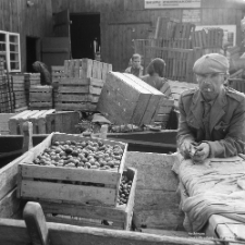 Skup warzyw i owoc&oacute;w w Miłocinie