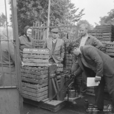 Skup warzyw i owoc&oacute;w w Miłocinie