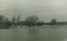 Czech&oacute;w dolny, ogr&oacute;dki działkowe w Lublinie. Fotografia