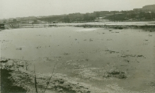 Czechów dolny, ogródki działkowe w Lublinie. Fotografia