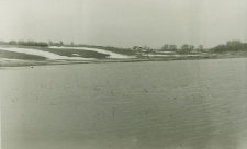 Czechówka w Lublinie, łąki. Fotografia