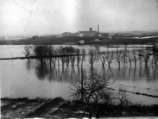 Kalinowszczyzna - rzeźnia. Lublin. Fotografia