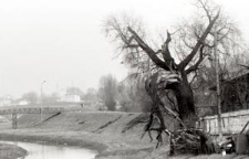 Dolina Bystrzycy w Lublinie