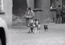 Mężczyzna z psami na Rynku Starego Miasta w Lublinie