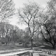 Ogród Botaniczny UMCS w Lublinie