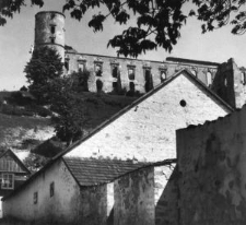 Zamek w Janowcu nad Wisłą