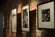 Wystawa "Don Kichot-galeria otwarta/Don Kichot galer&iacute;a abierta"