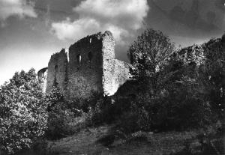 Zamek w Janowcu nad Wisłą