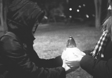 Misterium Światła i Ciemności. Upamiętnienie likwidacji lubelskiego getta na Podzamczu