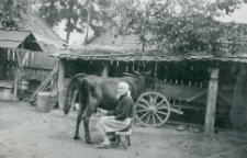 Petronela Krawiec podczas pracy w gospodarstwie w Modliborzycach