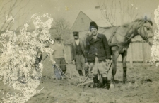 Prace polowe w Modliborzycach