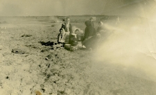 Prace polowe w Modliborzycach &ndash; wykopki