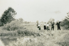 Nad stawami w Modliborzycach