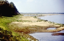 Rozlewisko Wisły w Kazimierzu Dolnym