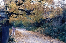 Ulica Plebanka w Kazimierzu Dolnym