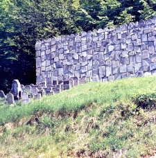 Cmentarz Żydowski w Czerniawach w Kazimierzu Dolnym