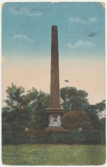 Pomnik Unii Lubelskiej na placu Litewskim w Lublinie