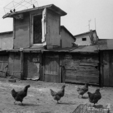 Podw&oacute;rze przy ulicy Dzierżawnej w Lublinie