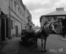 Koń na ulicy Zielonej w Lublinie