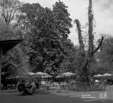 Ogr&oacute;d Saski w Lublinie